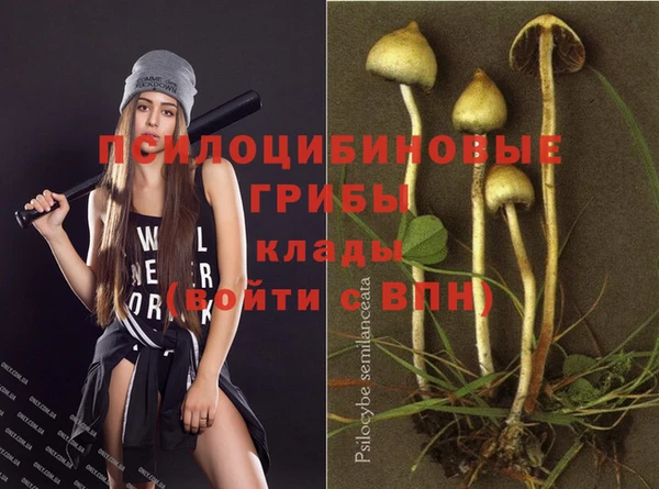 дурь Алзамай