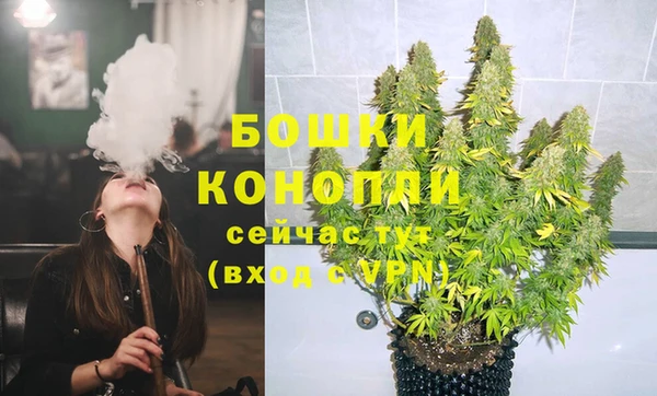 дурь Алзамай