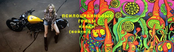 дурь Алзамай